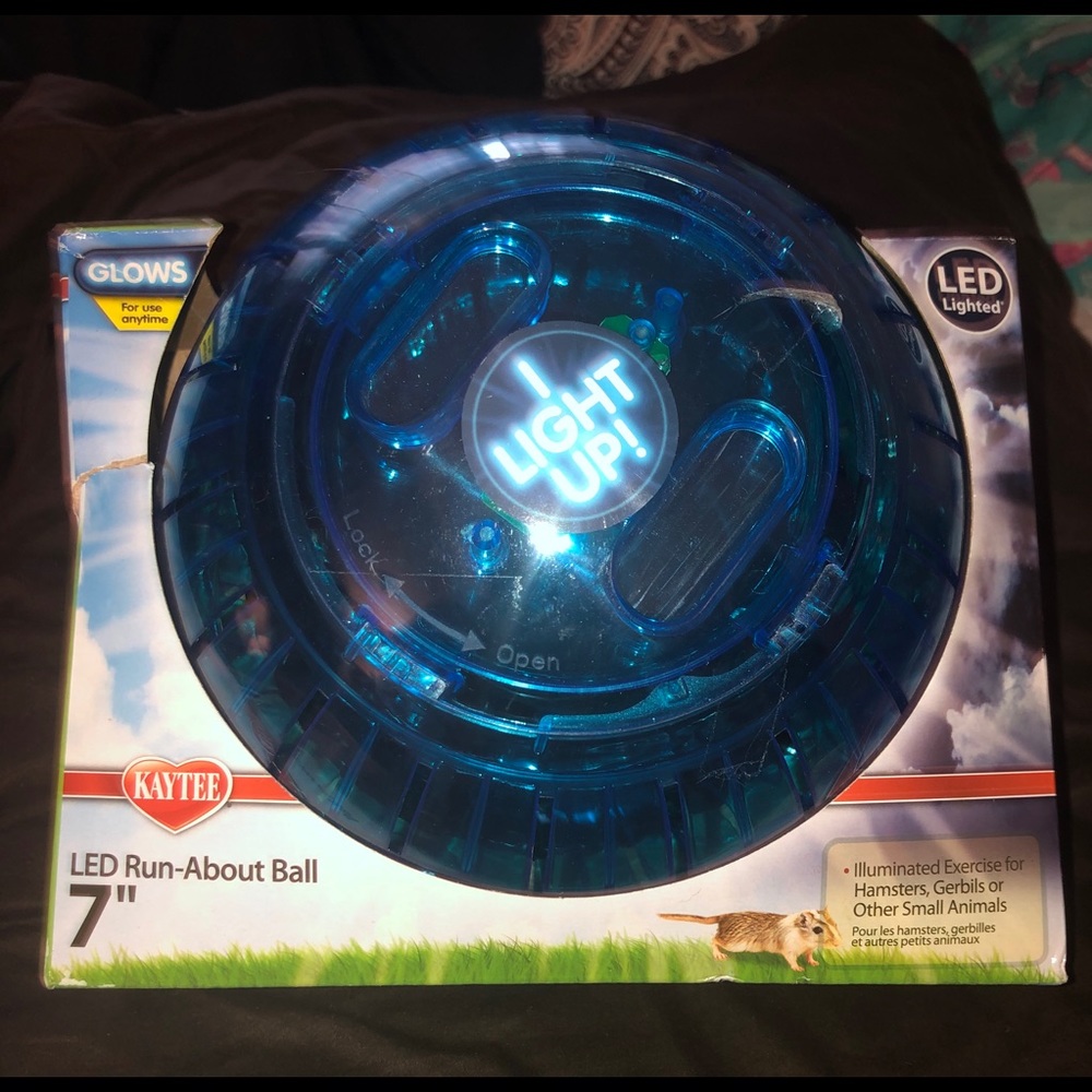 KAYTEE LED Run-About Ball 7”